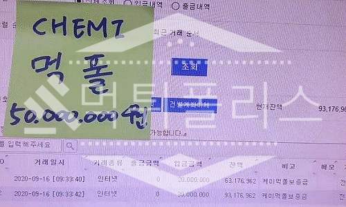 케미보증