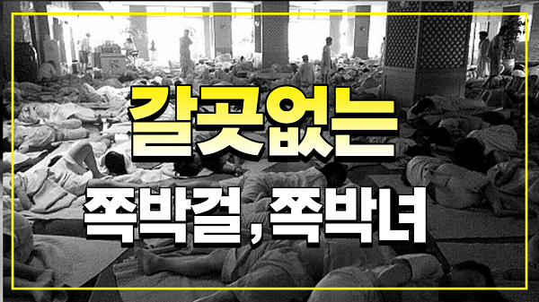 강원랜드 쪽박녀