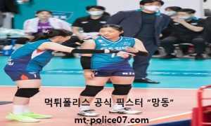 11월 28일 V리그 분석 GS칼텍스 vs 한국도로공사 먹폴 픽스터 망동 11월 28일 V리그 분석 GS칼텍스 vs 한국도로공사 먹폴 픽스터 망동