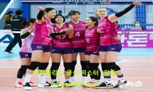 2월 16일 V리그 분석 흥국생명 vs IBK기업은행 먹폴 픽스터 망동 2월 16일 V리그 분석 흥국생명 vs IBK기업은행 먹폴 픽스터 망동