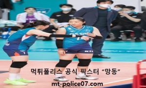 2월 14일 V리그 분석 GS칼텍스 vs KGC인삼공사 먹폴 픽스터 망동 2월 14일 V리그 분석 GS칼텍스 vs KGC인삼공사 먹폴 픽스터 망동