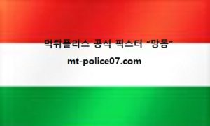 6월 9일 국제친선경기 분석 헝가리 vs 아일랜드 먹폴 픽스터 망동