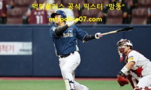 6월 19일 KBO 분석 NC vs 키움 먹폴 픽스터 망동 6월 19일 KBO 분석 NC vs 키움 먹폴 픽스터 망동