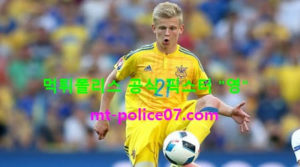 유로 축구 분석