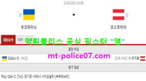 유로 축구 분석