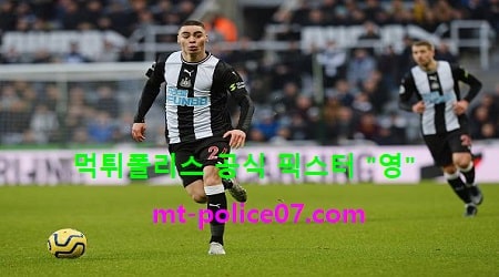 뉴캐슬
