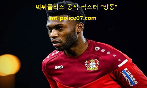 레버쿠젠