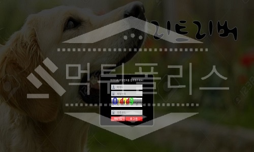 리트리버 신규사이트
