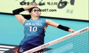 10월 16일 V리그 분석 GS칼텍스 vs 흥국생명 먹폴 픽스터 망동 10월 16일 V리그 분석 GS칼텍스 vs 흥국생명 먹폴 픽스터 망동