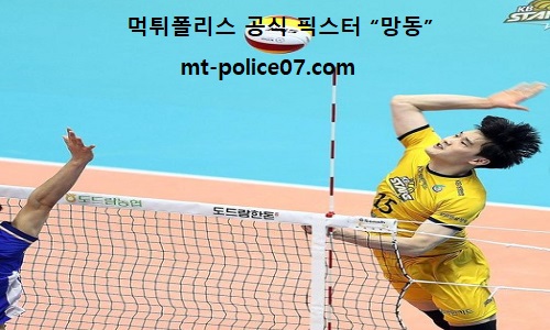 KB손해보험