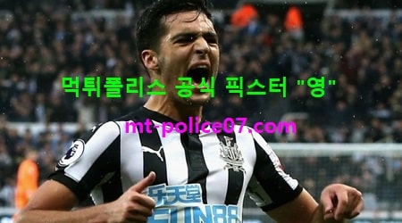 뉴캐슬