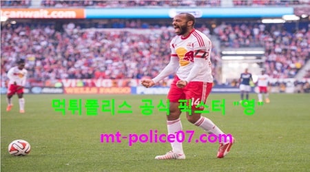뉴욕레드불스