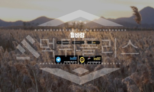 신규사이트 들바람