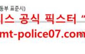 11월28일 NHL 디트로이트 VS 버팔로 하키 분석 먹폴 갱스터