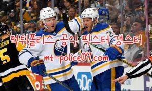 11월19일 버팔로 VS 캘거리 NHL 분석 먹폴 갱스터