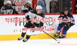 11월19일 애리조나 VS 콜럼버스 NHL 분석 먹폴 갱스터