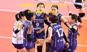 11월 3일 V리그 분석 한국도로공사 vs GS칼텍스 먹폴 픽스터 망동 11월 3일 V리그 분석 한국도로공사 vs GS칼텍스 먹폴 픽스터 망동