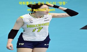 11월 26일 V리그 분석 현대건설 vs 흥국생명 먹폴 픽스터 망동 11월 26일 V리그 분석 현대건설 vs 흥국생명 먹폴 픽스터 망동