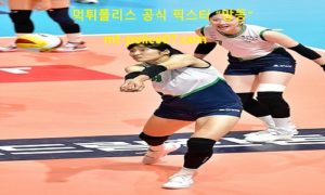 11월 17일 V리그 분석 현대건설 vs 도로공사 먹폴 픽스터 망동 11월 17일 V리그 분석 현대건설 vs 도로공사 먹폴 픽스터 망동