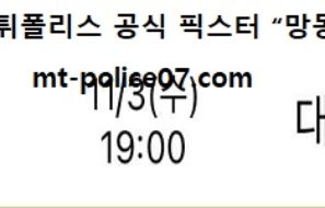 11월 3일 V리그 분석 KB손해보험 vs 대한항공 먹폴 픽스터 망동