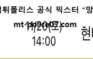 11월 20일 V리그 분석 OK금융그룹 vs 현대캐피탈 먹폴 픽스터 망동