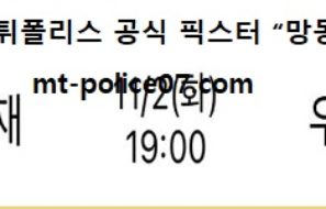 11월 2일 V리그 분석 삼성화재 vs 우리카드 먹폴 픽스터 망동