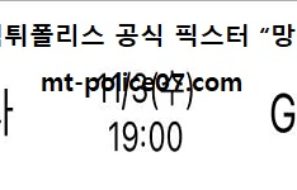 11월 3일 V리그 분석 한국도로공사 vs GS칼텍스 먹폴 픽스터 망동