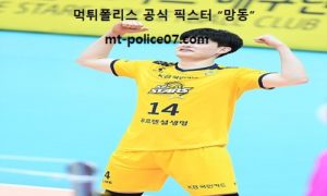 11월 3일 V리그 분석 KB손해보험 vs 대한항공 먹폴 픽스터 망동 11월 3일 V리그 분석 KB손해보험 vs 대한항공 먹폴 픽스터 망동