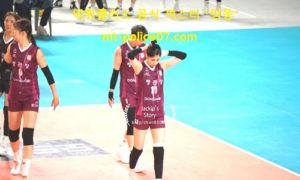 11월 7일 V리그 분석 인삼공사 vs GS칼텍스 먹폴 픽스터 망동 11월 7일 V리그 분석 인삼공사 vs GS칼텍스 먹폴 픽스터 망동