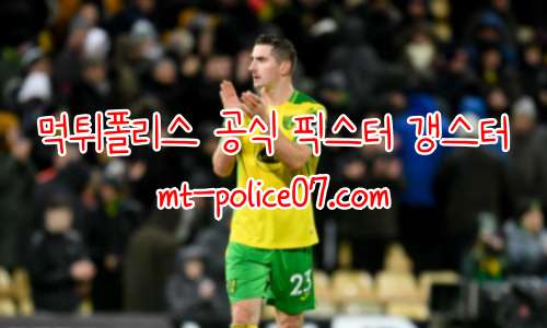 노리치 시티 7