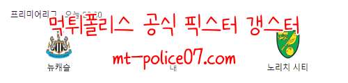 12월1일 EPL 뉴캐슬 VS 노리치 축구 분석 먹폴 갱스터