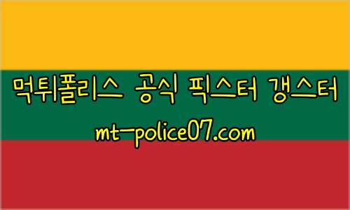 리투아니아 7