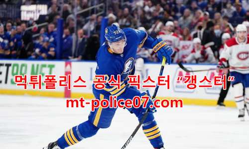 버팔로 세이버스 7