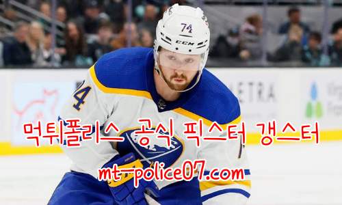 버팔로 세이버스 7