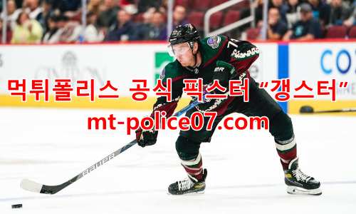 애리조나 코요테스 7
