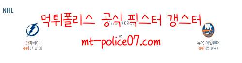 11월16일 템파베이 VS 뉴욕 아일랜더스
