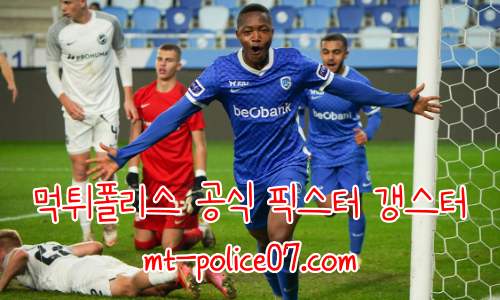 헹크 7