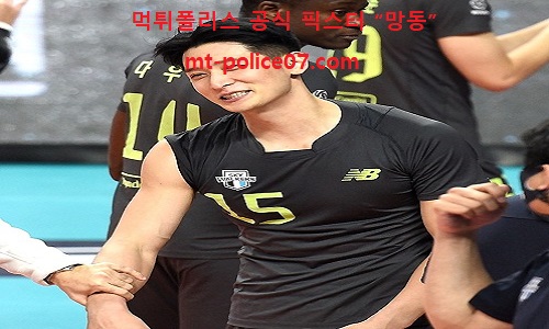 11월 5일 V리그 분석 현대캐피탈 vs 삼성화재 먹폴 픽스터 망동