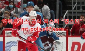12월19일 NHL 디트로이트 뉴저지 분석 먹폴 갱스터 12월19일 NHL 디트로이트 뉴저지 분석 먹폴 갱스터