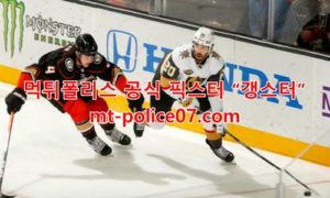 12월6일 NHL 베가스 골든나이츠 캘거리 플레임스 분석 먹폴 갱스터 12월6일 NHL 베가스 골든나이츠 캘거리 플레임스 분석 먹폴 갱스터