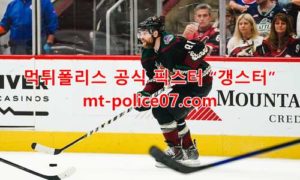 12월12일 NHL 애리조나 코요테스 필라델피아 플라이어스 분석 먹폴 갱스터 12월12일 NHL 애리조나 코요테스 필라델피아 플라이어스 분석 먹폴 갱스터
