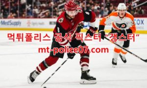 12월16일 NHL 애리조나 뉴욕레인저스 분석 먹폴 갱스터 12월16일 NHL 애리조나 뉴욕레인저스 분석 먹폴 갱스터