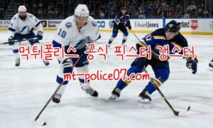 12월3일 NHL 탬파베이 라이트닝 세인트루이스 블루스 분석 먹폴 갱스터 12월3일 NHL 탬파베이 라이트닝 세인트루이스 블루스 분석 먹폴 갱스터