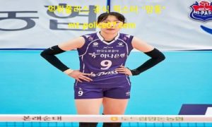 12월 19일 V리그 분석 한국도로공사 vs GS칼텍스 먹폴 픽스터 망동 12월 19일 V리그 분석 한국도로공사 vs GS칼텍스 먹폴 픽스터 망동