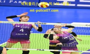12월 1일 V리그 분석 흥국생명 vs 페퍼저축은행 먹폴 픽스터 망동 12월 1일 V리그 분석 흥국생명 vs 페퍼저축은행 먹폴 픽스터 망동