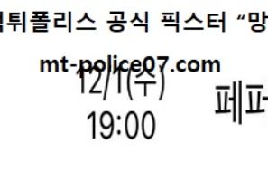12월 1일 V리그 분석 흥국생명 vs 페퍼저축은행 먹폴 픽스터 망동