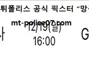12월 19일 V리그 분석 한국도로공사 vs GS칼텍스 먹폴 픽스터 망동