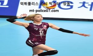 12월 28일 V리그 분석 KGC인삼공사 vs 한국도로공사 먹폴 픽스터 망동 12월 28일 V리그 분석 KGC인삼공사 vs 한국도로공사 먹폴 픽스터 망동
