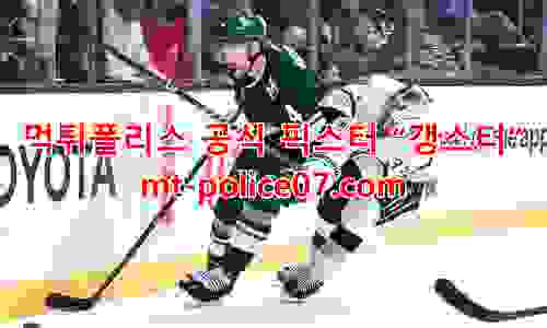 미네소타 와일드 7