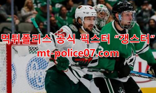 미네소타 와일드 7